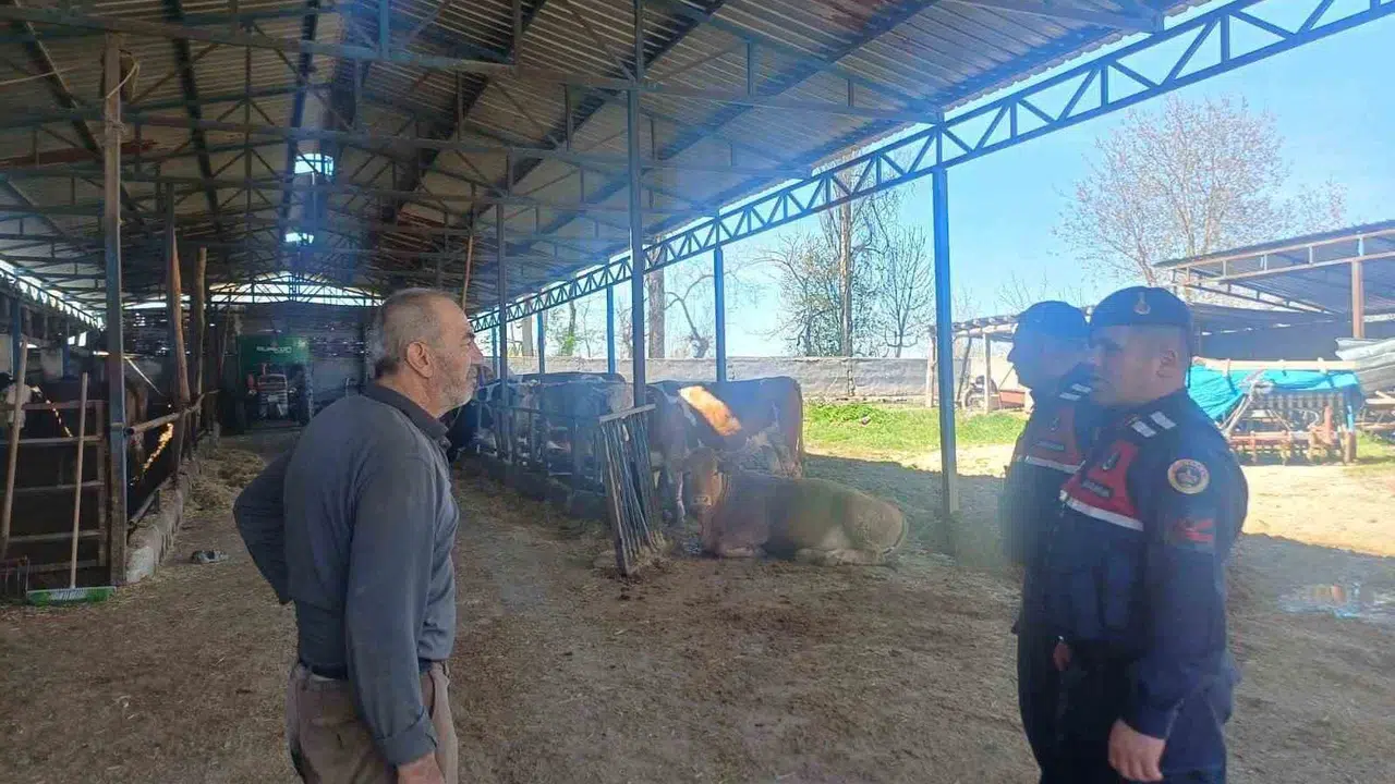 Bilecik'te jandarmadan çiftçiye kritik uyarı: Hayvan hırsızlarına ve dolandırıcılara karşı önlem paketi