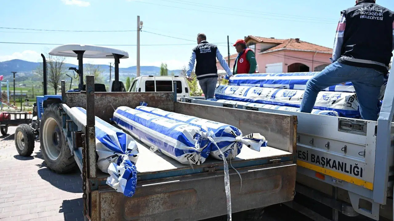 Fırtına vurdu, Manisa Büyükşehir imdada yetişti: 23 üreticinin yaraları yüzde 100 hibe ile sarıldı