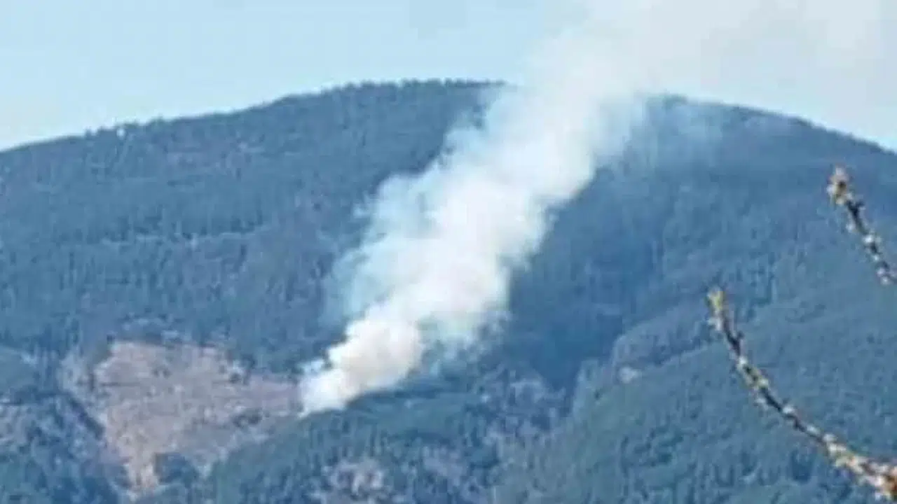 Nazilli'de ormanlık alanda korkutan dumanlar: Ekipler alevlere karşı teyakkuzda