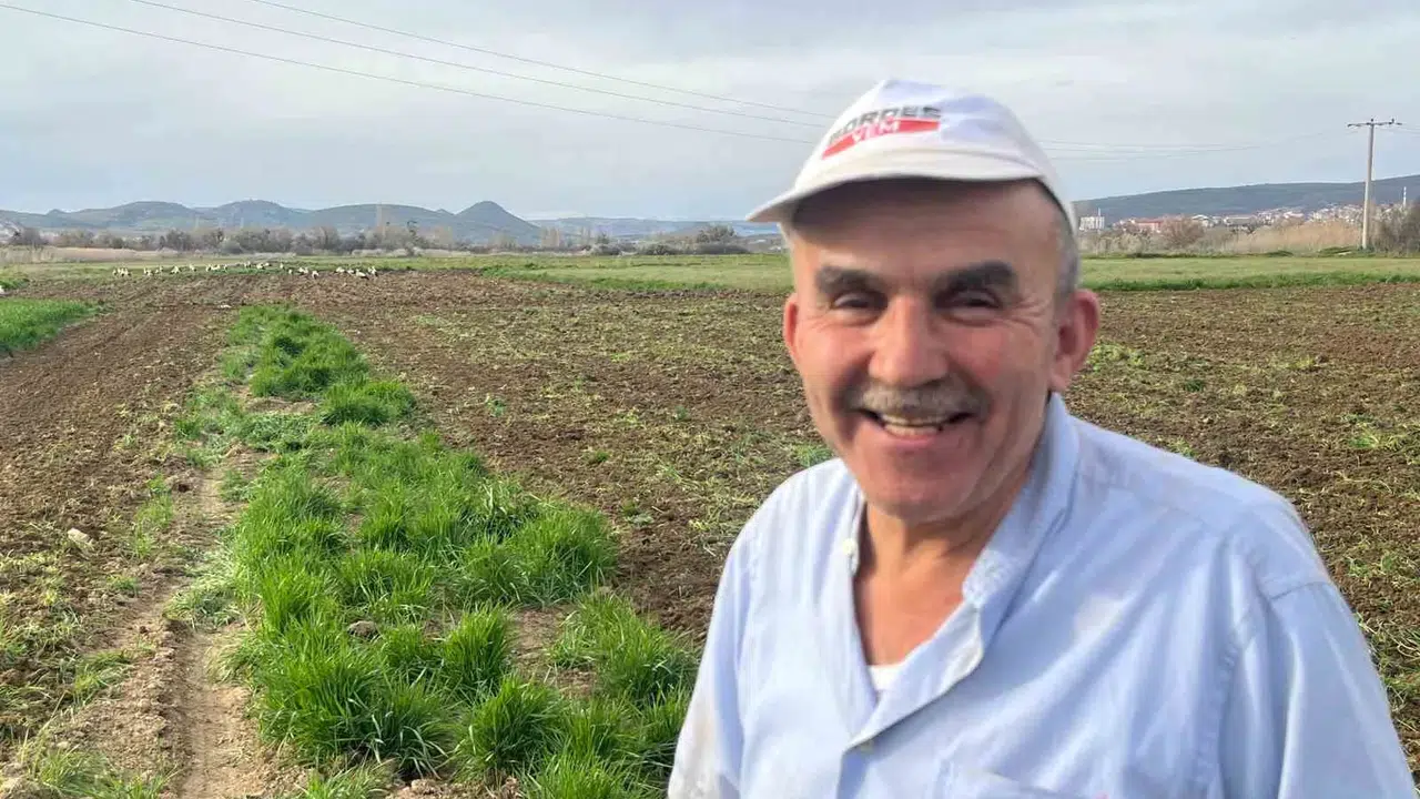 Traktör sesi duyulunca tarlaya akın ediyorlar: Çiftçinin kanatlı yardımcıları iş başında