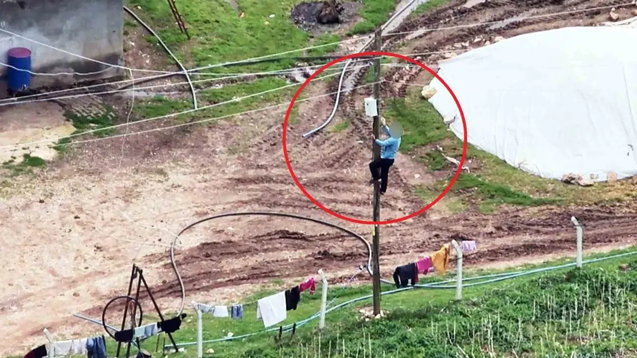 Dronu görünce panikledi: Elektrik direğine tırmanıp kaçak hattı böyle söktü