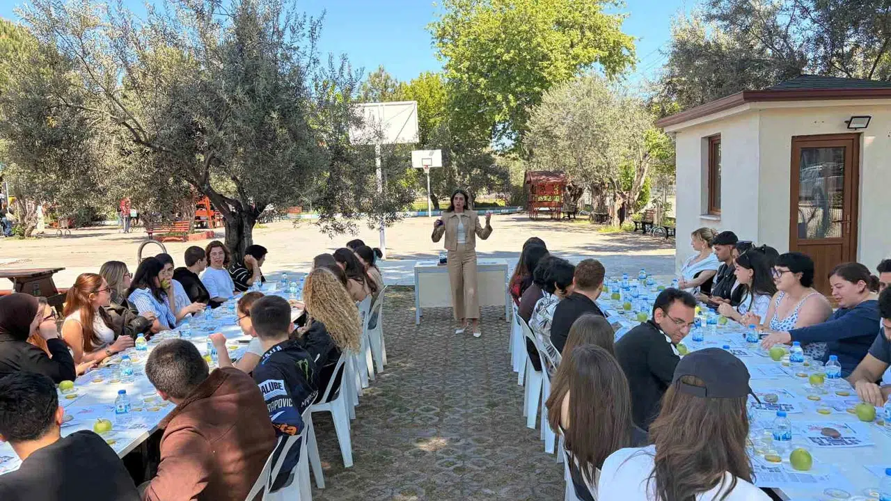 Sıvı altının kimyasal şifreleri çözüldü: Zeytinyağında tadım sanatı bilimle buluştu