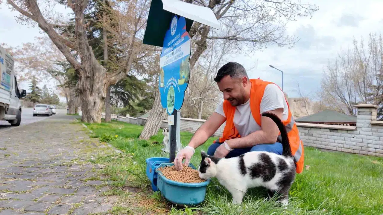 Elazığ'da sessiz dostlar unutulmadı: 90 noktada yaşam mücadelesine destek eli