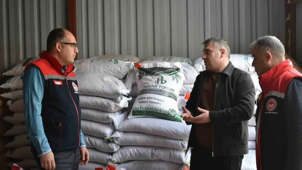 Bayburt’ta tarlalar berekete doyuyor: 67 ton tohum çiftçinin yüzünü güldürdü