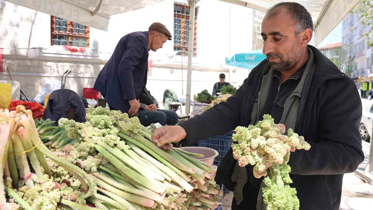 Doğu'nun şifa kaynağı tezgahlara indi: Dağ muzu olarak bilinen ışkın 400 liradan alıcı buluyor