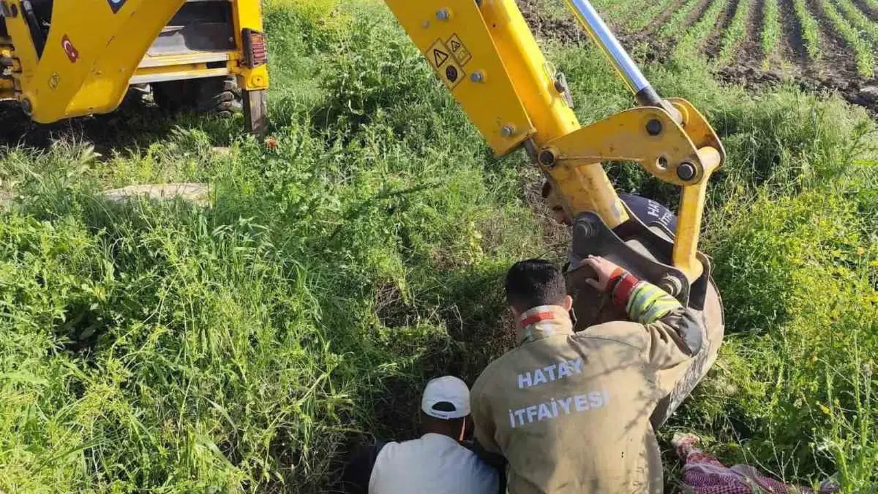 Antakya'da yürekleri ağza getiren olay: Kuyuya düşen büyükbaş hayvan için zamanla yarıştılar