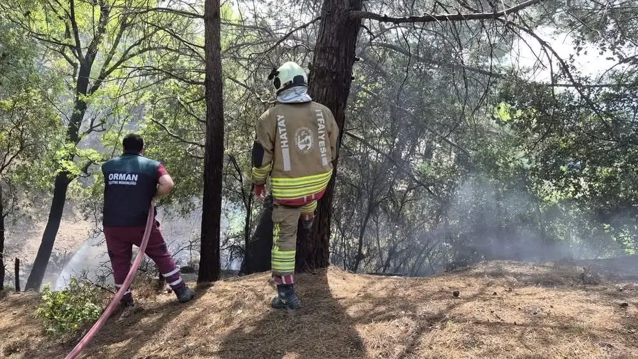 İskenderun’da korkutan orman yangını: Ekiplerin zamanla yarışı sonuç verdi