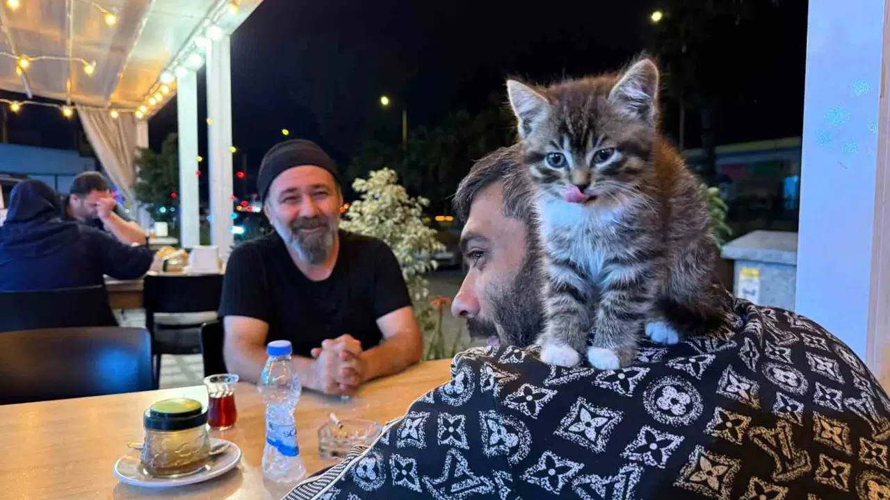 Karanlıktan aydınlığa bir patinin izinde: Madde bağımlılığını minik dostuyla yendi