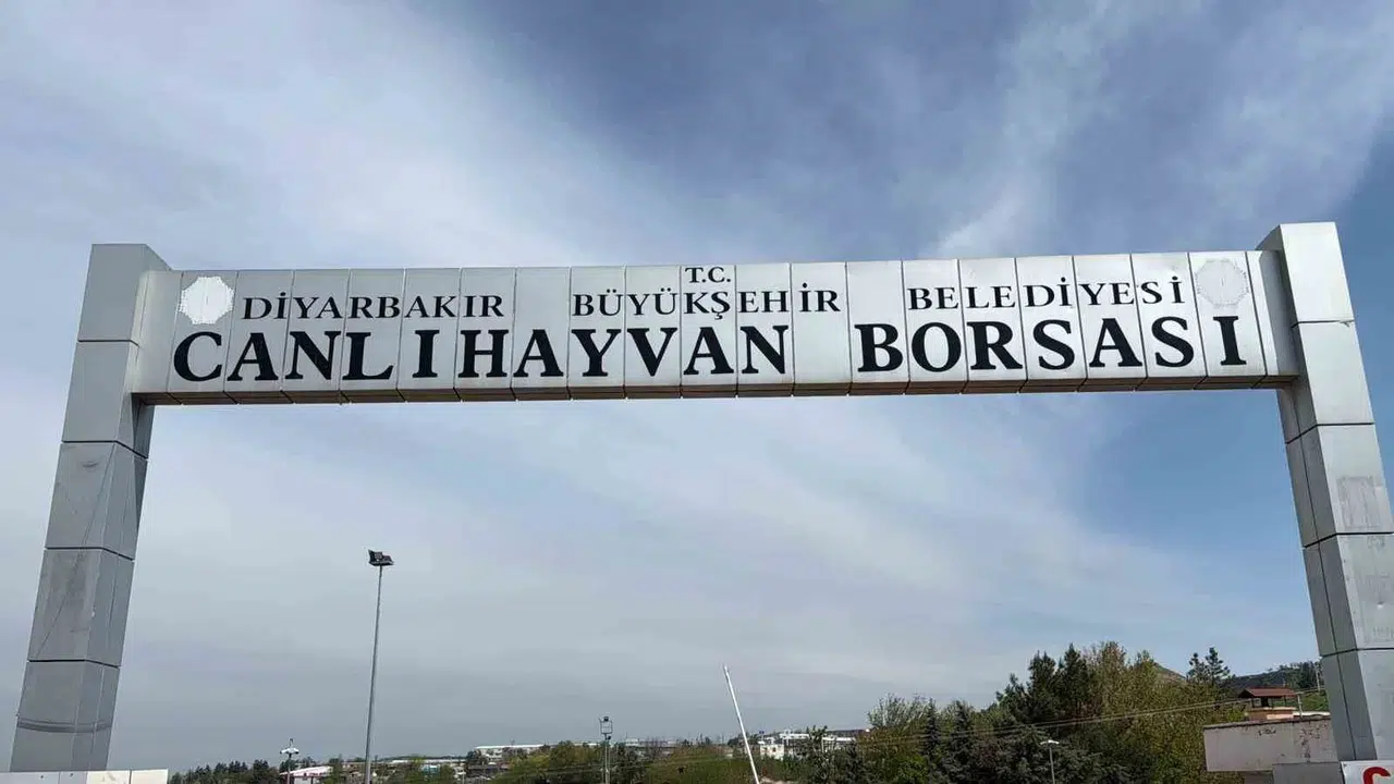 Diyarbakır’da dev dönüşüm: Canlı Hayvan Borsası modern standartlara kavuşuyor