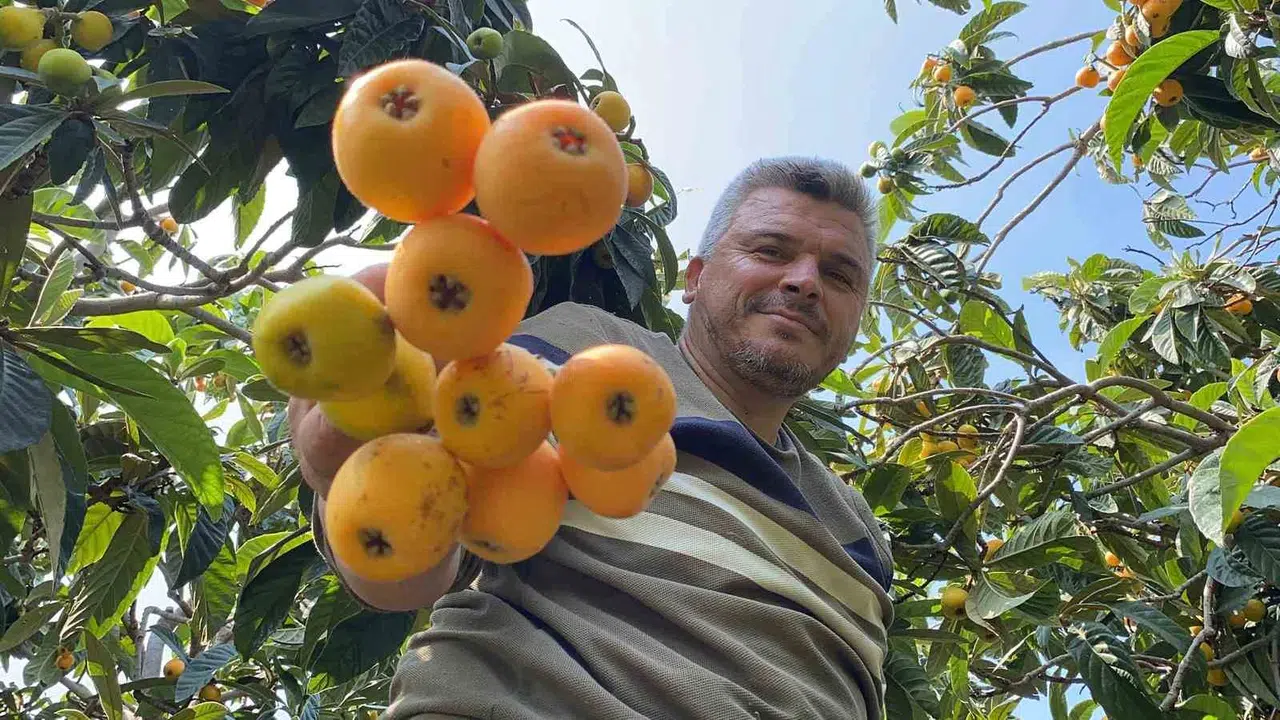 Mersin’de sarı altın bereketi: Kanada’dan Dubai’ye uzanan ihracat yolculuğu başladı