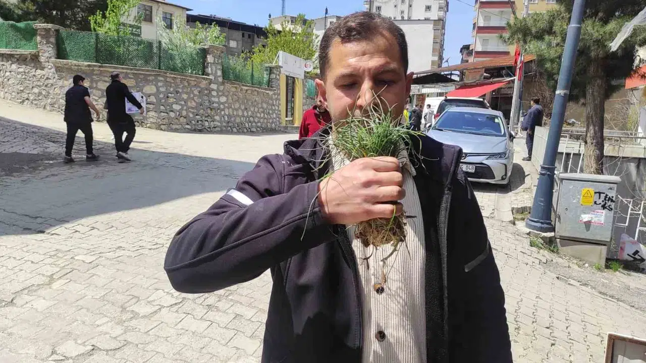 Dağların zirvesinde saklı servet: Kilosu altınla yarışan şifalı ot köylülerin geçim kaynağı oldu