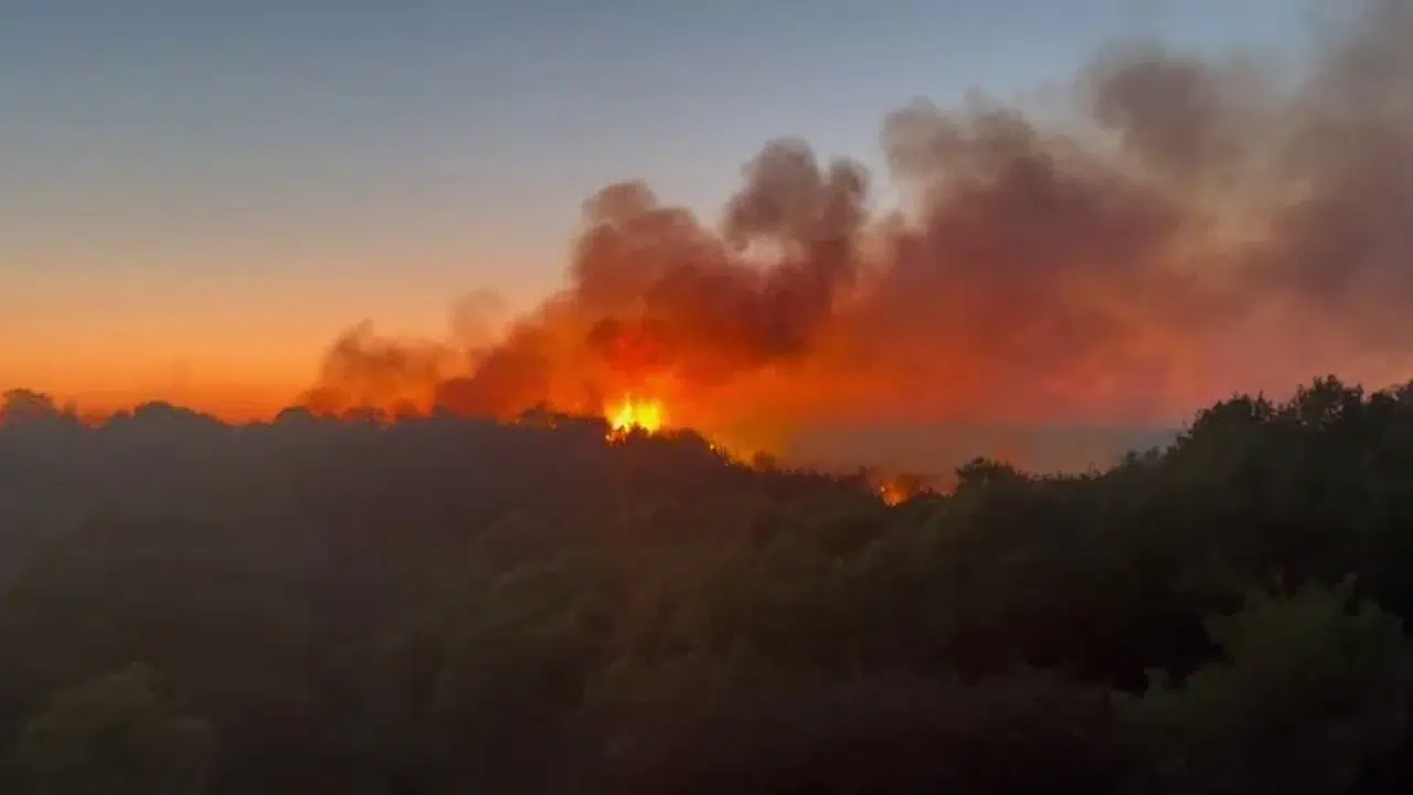 Beykoz’da orman alarmı: Alevler 7 saattir kontrol altına alınmaya çalışılıyor