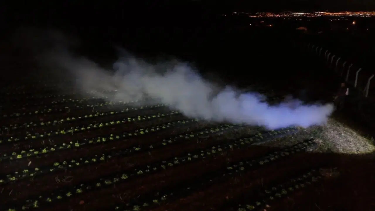 Erzincan’da 1450 rakımda zorlu mesai: Çiftçiler ürünlerini dumanla korumaya aldı