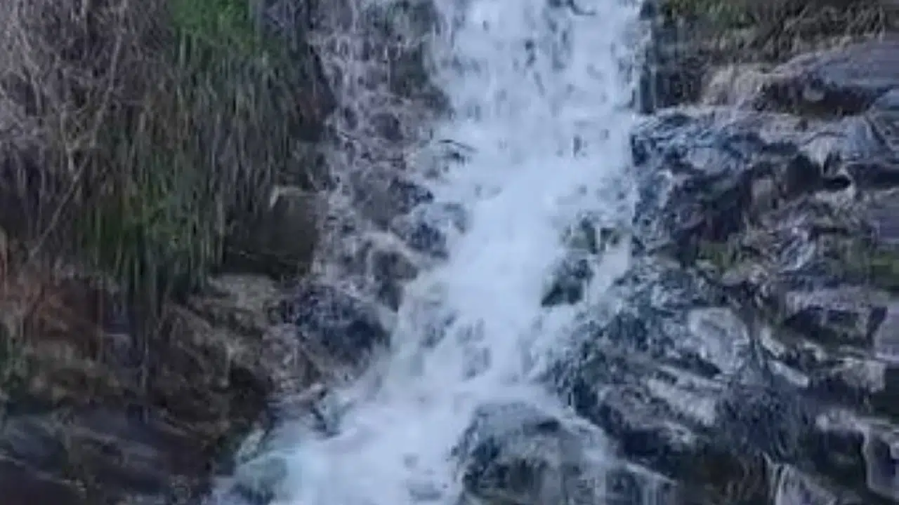 Kuraklığın kaderi değişti: Karapınar’da yıllar sonra gelen mucize