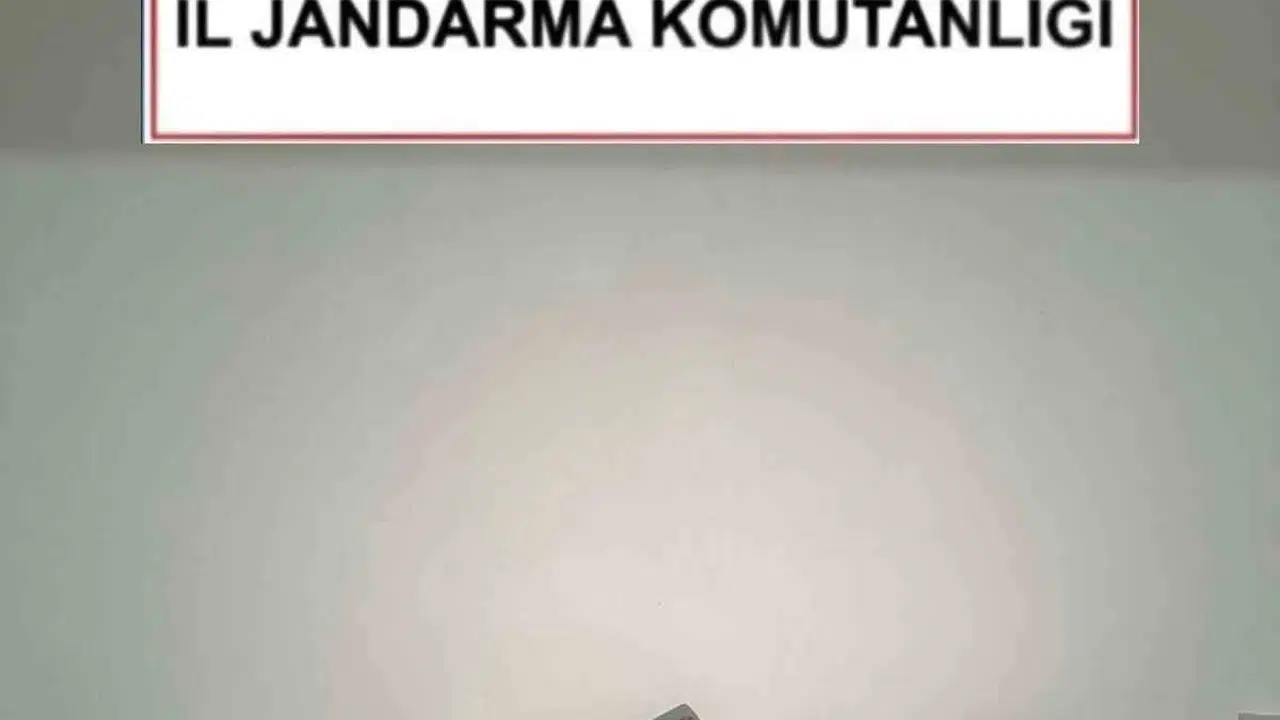 Tarihi mirası talan etmek isterken jandarmaya yaka…