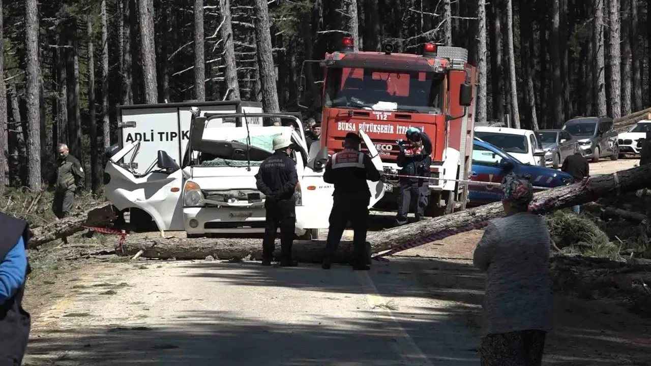 Uludağ yolunda korkunç kaza: Kesilen ağaç seyir halindeki aracın üzerine devrildi
