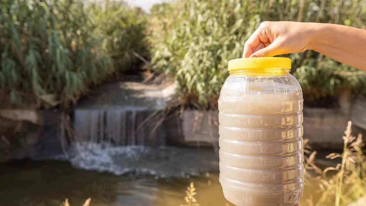 Gediz Nehri can çekişiyor: 400 kilometrelik yaşam koridoru zehirli atık kanalına mı dönüşüyor?