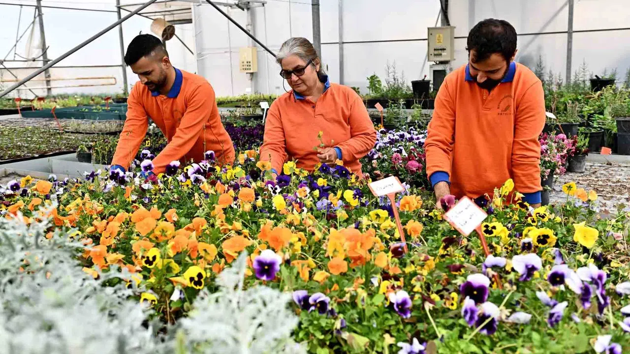 Antalya’da çiçek şöleni başlıyor: 130 bin dal çiçek öğrencilerle sanata dönüşecek