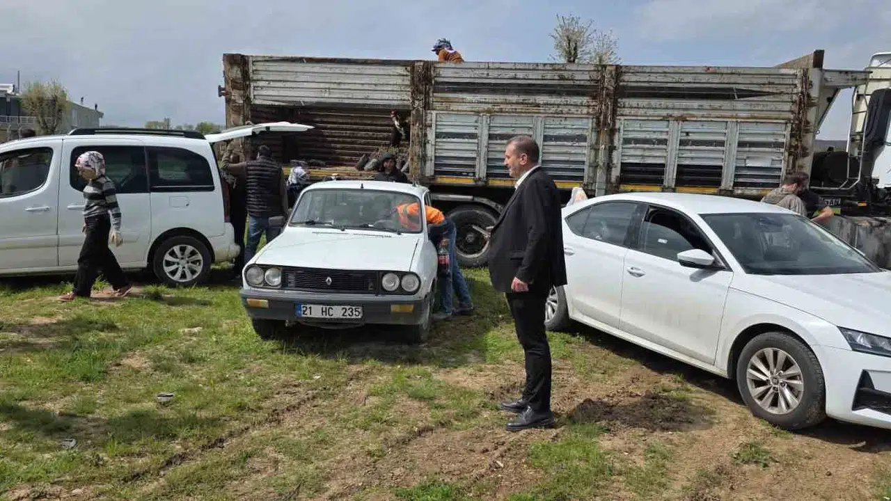 Dicleli çiftçinin yüzü güldü: Devletten tam destekle binlerce fıstık fidanı