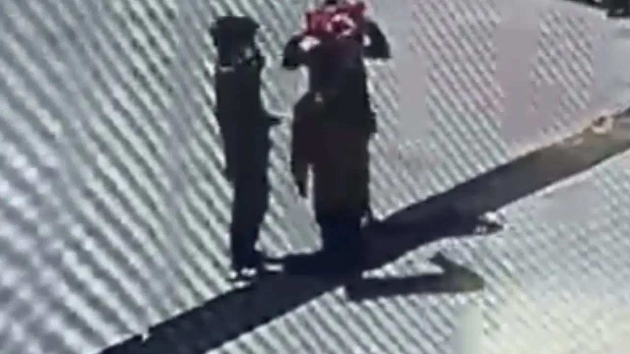 Minik kalplerden büyük vefa: Rüzgârın düşürdüğü bayrağı öpüp alnına koydu