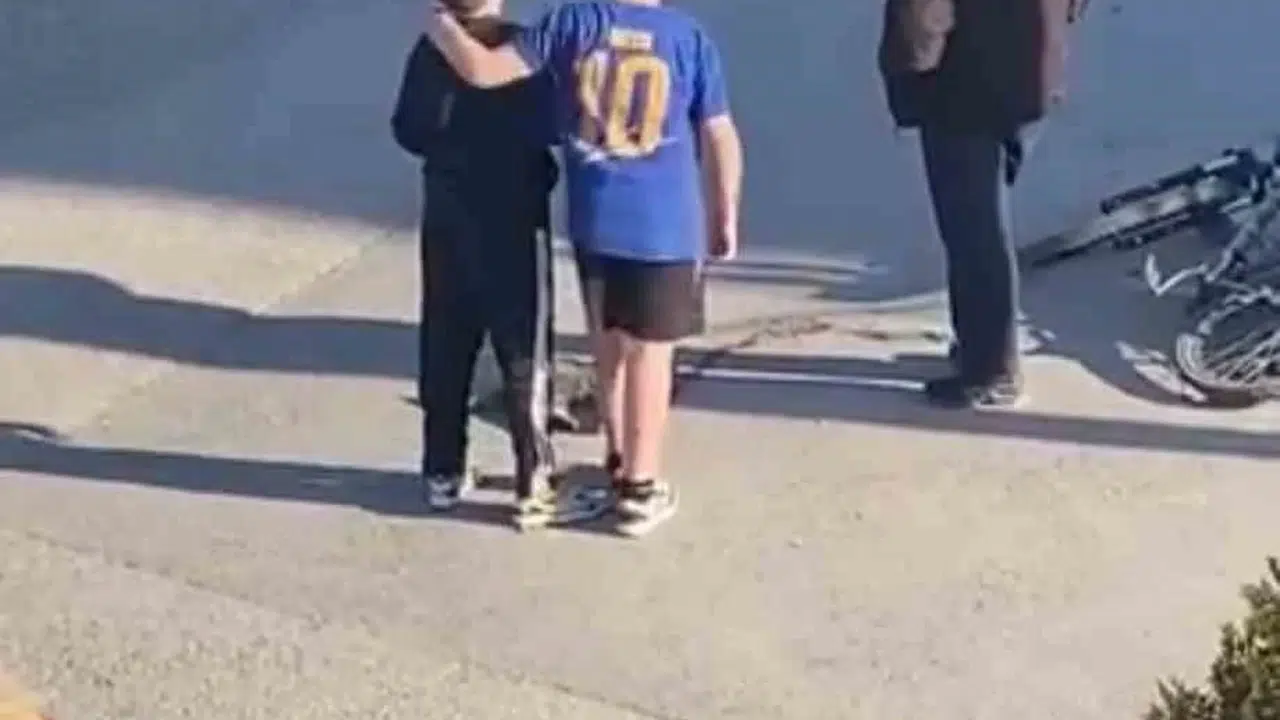 Küçük yüreklerden büyük insanlık dersi: Yaralı kediyi bir an olsun yalnız bırakmadılar