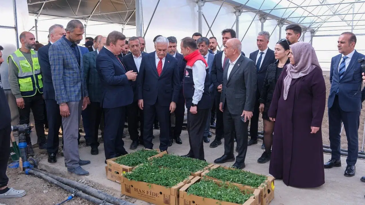 Erzincan’ın bereketli toprakları modern tarımla şahlanıyor: Binali Yıldırım sera bölgesini inceledi