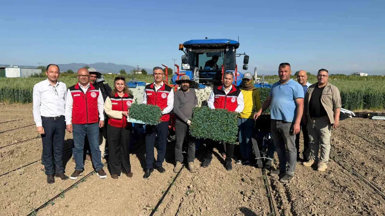 Toprağın bereketi Manisa’da yeniden hayat buldu: 131 bin dekarlık alanda domates mesaisi başladı