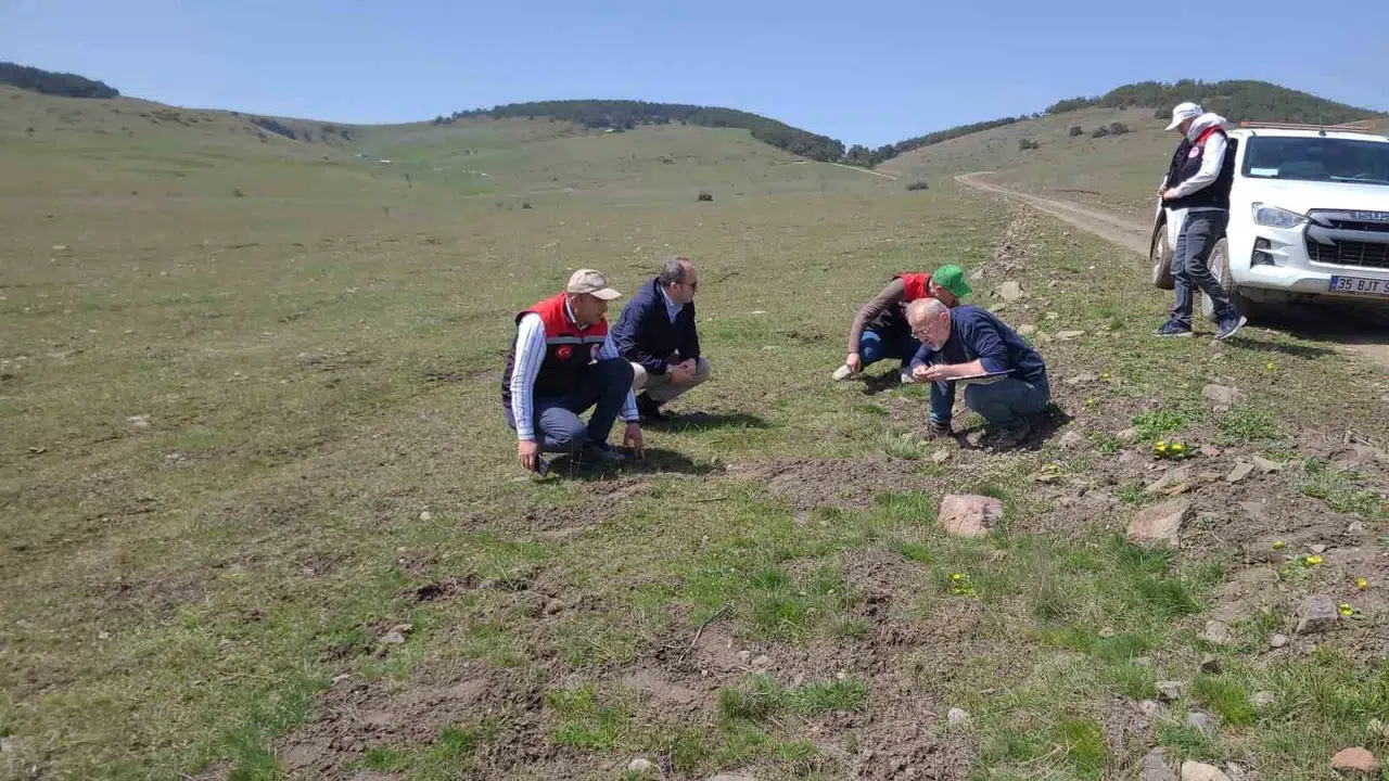 Amasya’nın doğasına bilimsel dokunuş: Yaylalar ve meralar mercek altına alındı