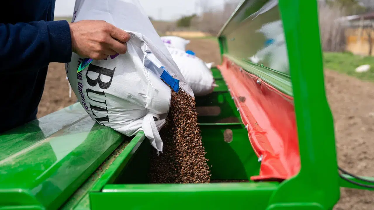 Gölbaşı’nda bereketli hasat için düğmeye basıldı: Karabuğday tarlaları yeniden yeşeriyor