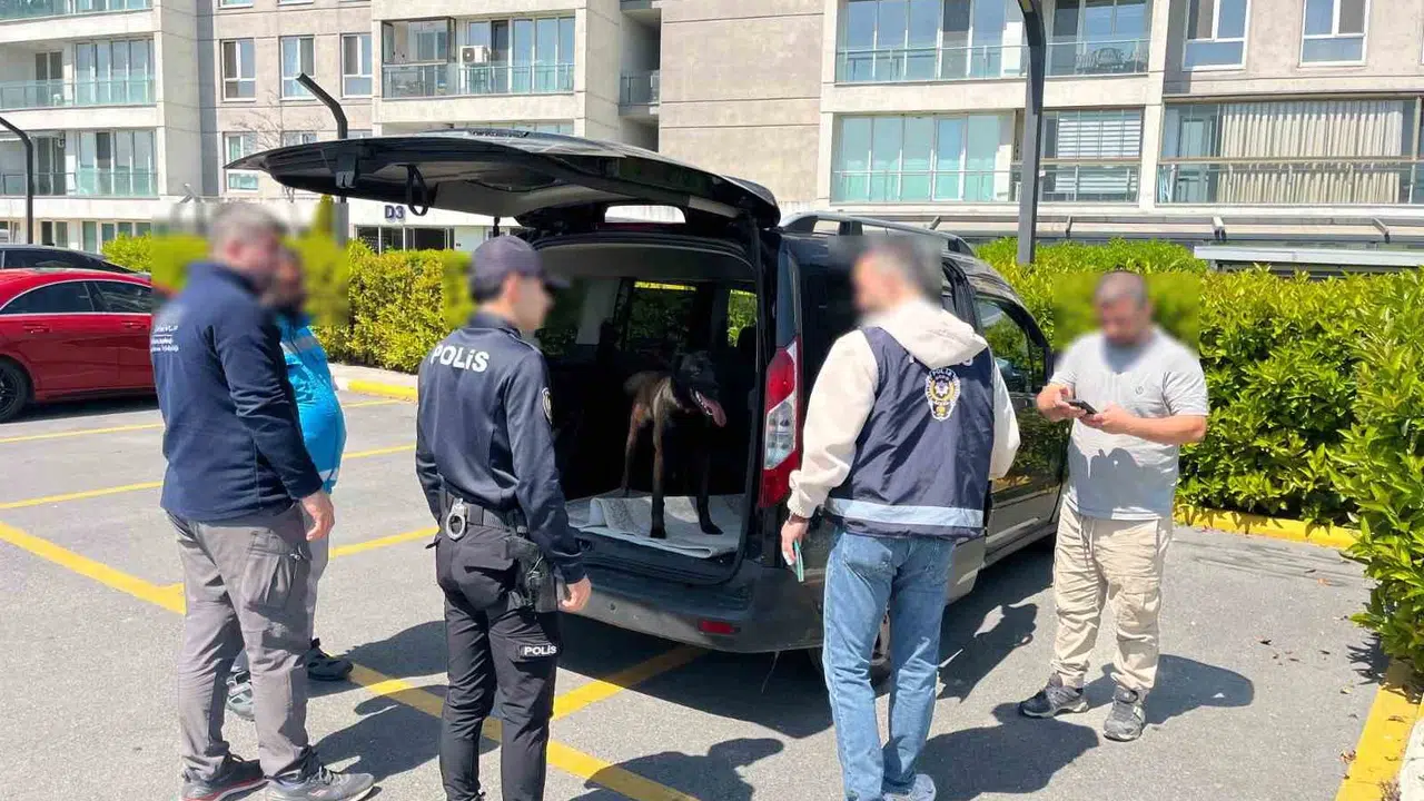 Avcılar'da vicdansızlık kamerada: Masum köpeğe eziyet eden şahıs gözaltına alındı