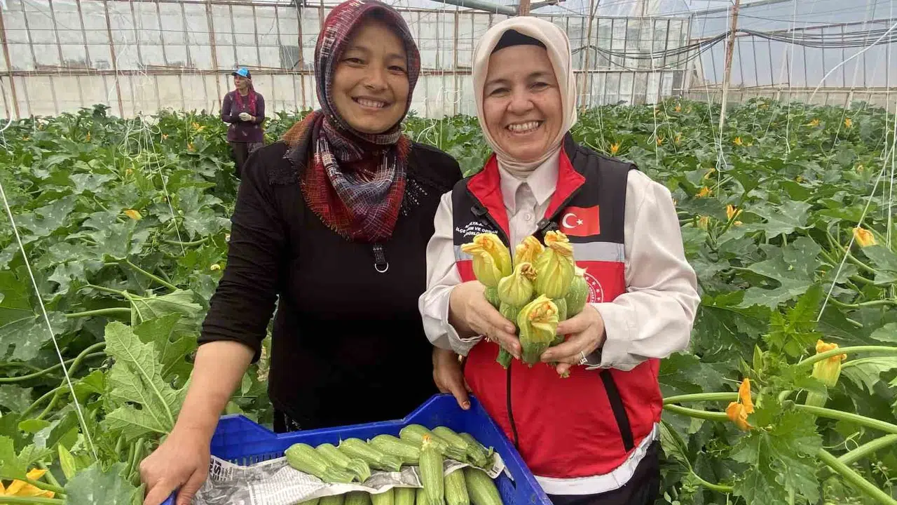 Tarladan sofraya uzanan başarı: 38 yaşındaki Nurcan Kazıkçı hem üretiyor hem dünyaya satıyor