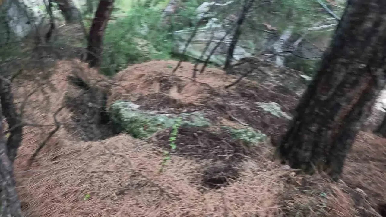Tokat'ta korkutan heyelan: 5 binada yaşayanlar evlerini terk etmek zorunda kaldı