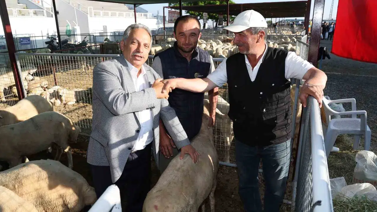 Talas’ta kurban telaşı başladı: Satış ve kesim noktaları netleşti