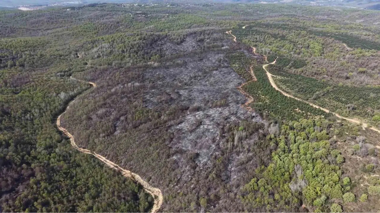 Beykoz’da 9 saatlik kabus: Gün ağarınca ortaya çıkan tablo yürek burktu
