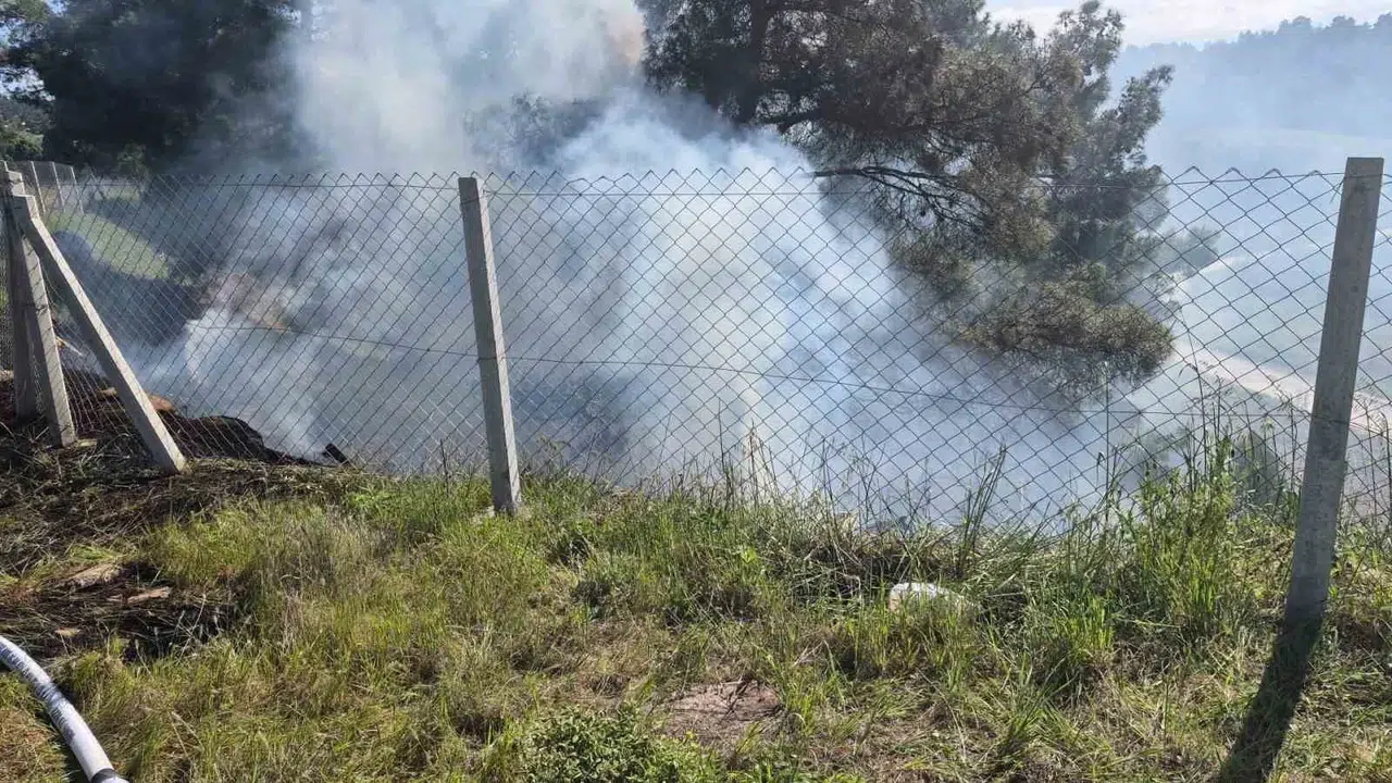 Tarladaki otları yakmak istedi felaketle sonuçlandı: 700 metrekarelik alan küle döndü