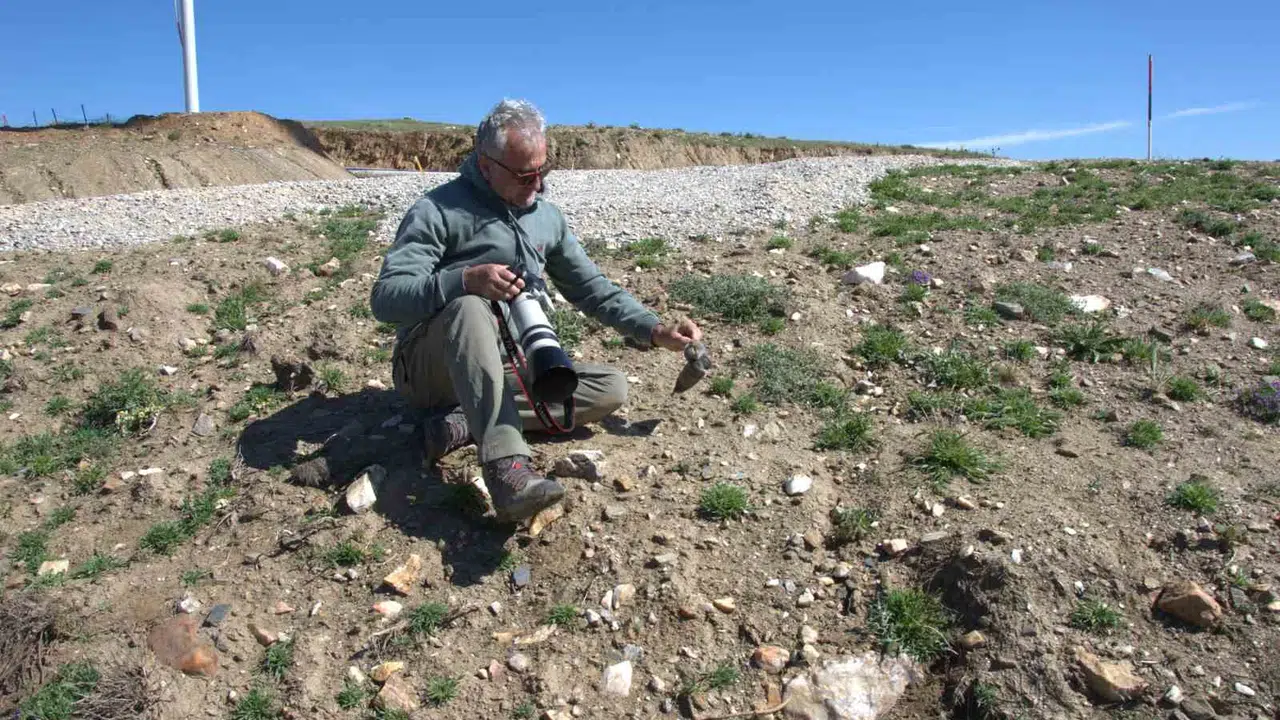 Anadolu'nun gizli dünyası gün yüzüne çıktı: 14 yıllık emeğin ardından 17 yeni tür keşfedildi