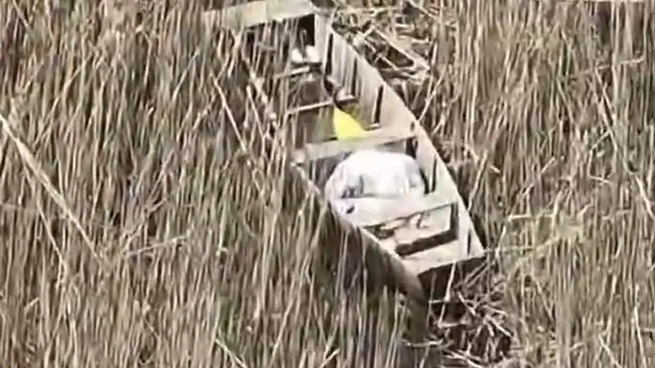 Efteni Gölü'nde teknolojiye yakalandılar: Sazlıkların arasına gizlenen kaçak avcılar dronla deşifre oldu