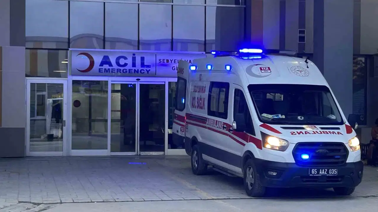 Oyun oynarken gelen acı haber: Van'da sokak köpeklerinin saldırdığı 5 yaşındaki çocuk yaşamını yitirdi