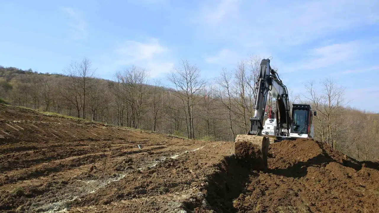 Nilüfer’in dağ köylerinde  berry  devrimi: Atıl araziler artık altın değerinde