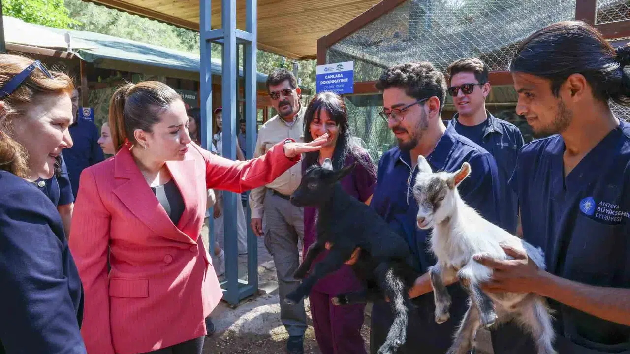 Antalya'da can dostlarına adanmış bir gün: Başkan Vekili Özdemir'den veteriner hekimlere özel ziyaret