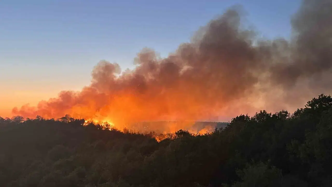 Beykoz'da korkutan yangın: Kontrol altına alınmıştı, yeniden alevlendi