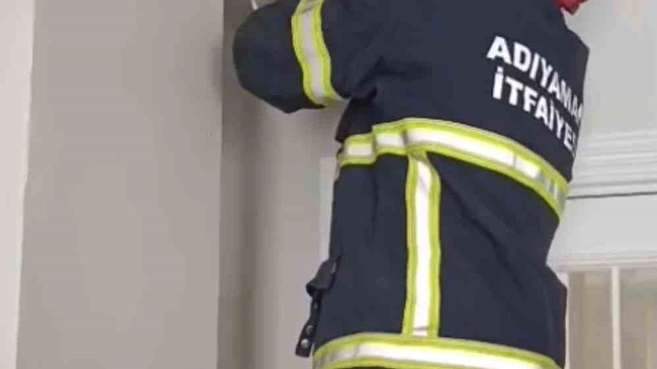 Asma tavanda sıkışan 4 yavru kedi kurtarıldı