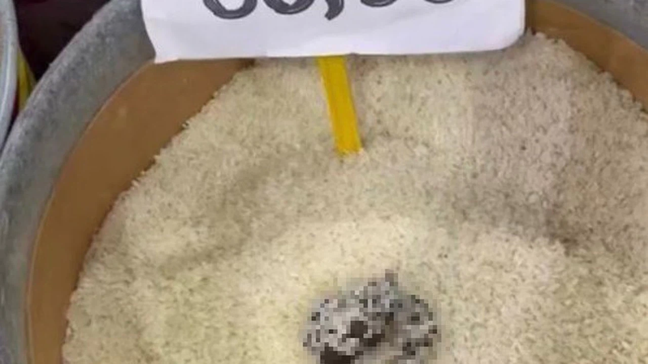 Mersin’de skandal görüntü: Pirinçten kedi dışkısı çıkan markete ceza