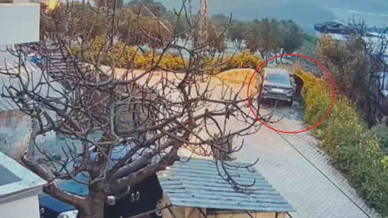 Zeytinliğe kaçan saldırgan tanıdık çıktı: Hatay'da şoke eden miras intikamı!