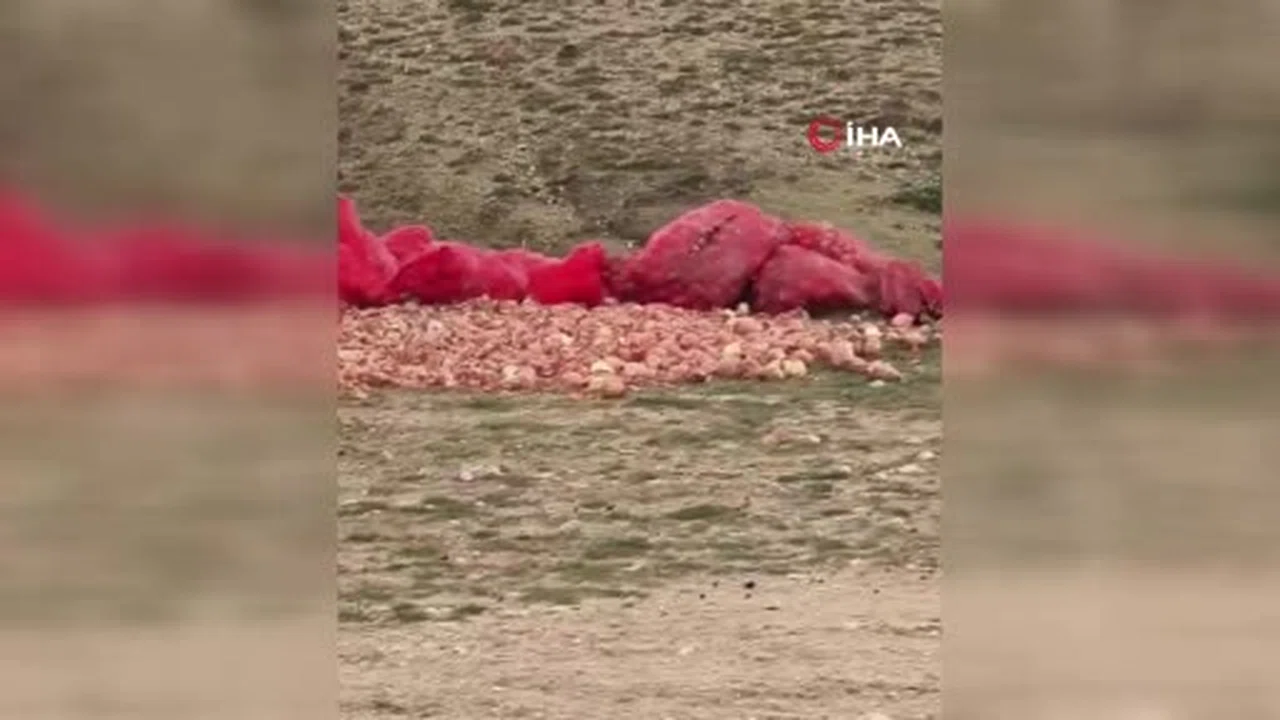 Polatlı’da yol kenarına atılan soğanlar tepkiye neden oldu
