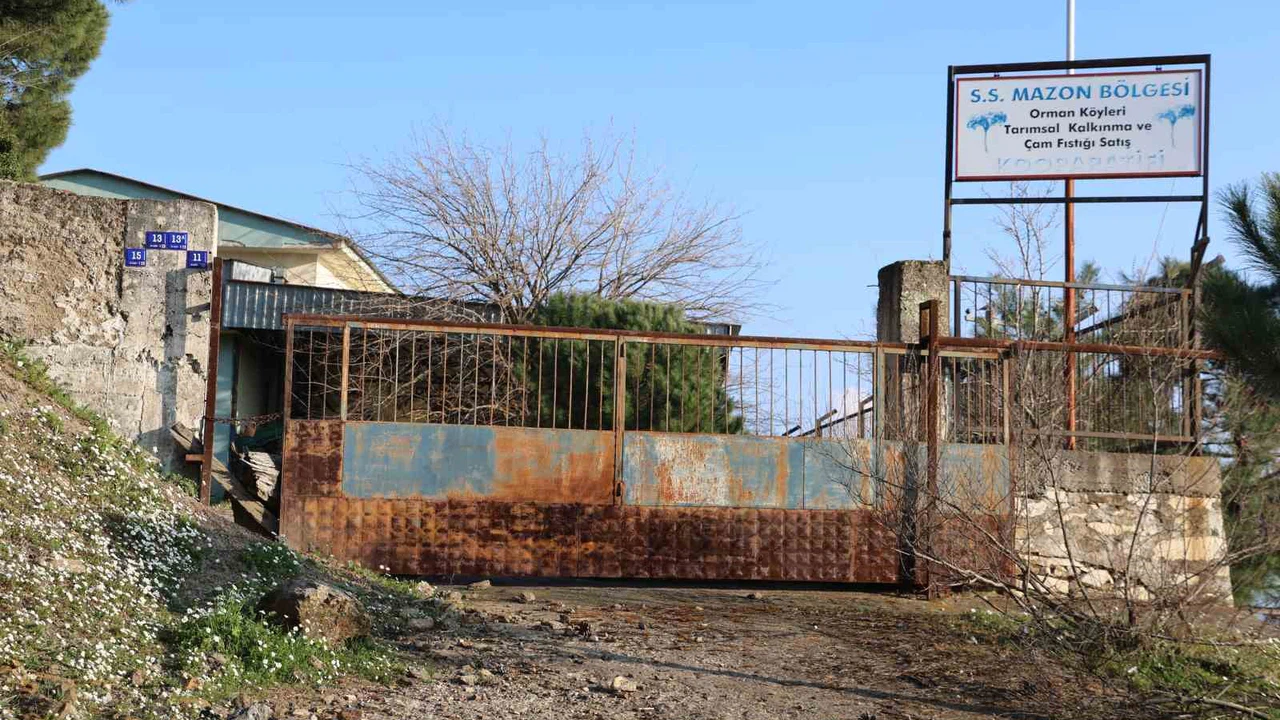 Üreticilere umut olacaktı, şimdi çürümeye terk edildi