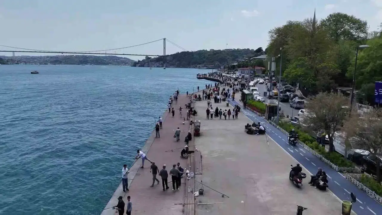 Baharın müjdecisi İstanbul’a geldi: Emirgan’da adım atacak yer kalmadı