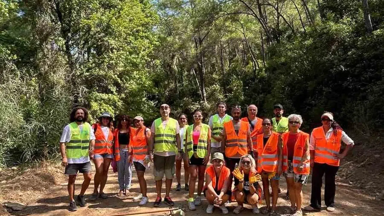 Marmaris'in yeşilini korumak için kolları sıvadılar:  Bir cam parçası koca bir ormanı yok edebilir