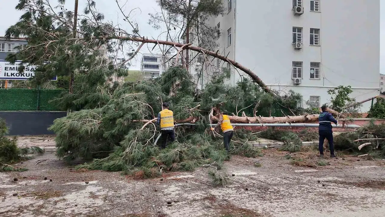 Birecik’te fırtına sonrası seferberlik: Ekipler gece gündüz demeden sahada