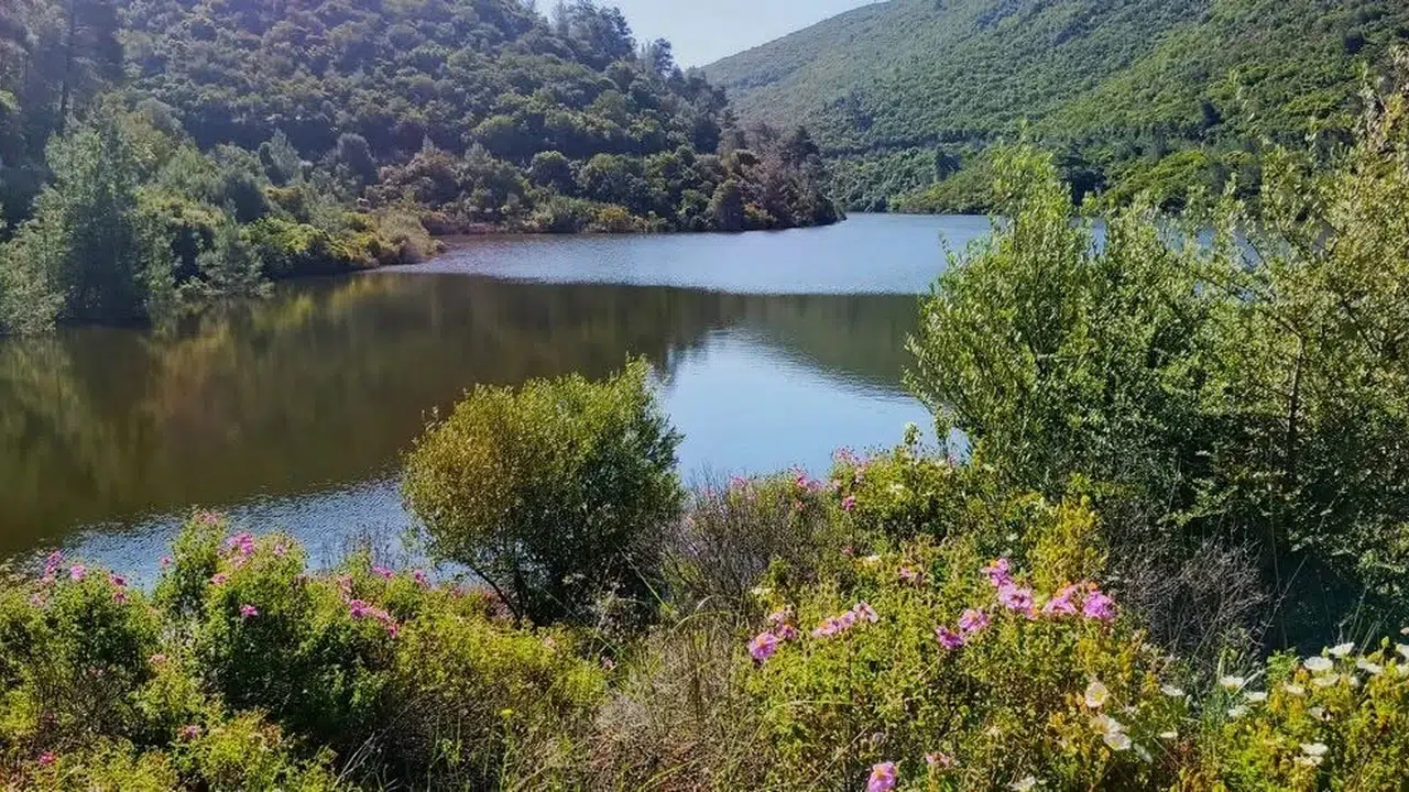 Kuşadası’nın gizli cenneti alarm veriyor: Bahçecik Boğazı’nda büyük tehlike
